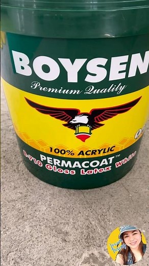 Boysen and Davies Paints