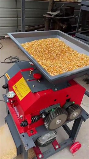 Fast Corn Grinding Machine | Turn Maize into Animal Feed in Seconds
