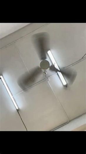 2010's SMC K56 industrial/commercial ceiling fan and 25" Windy high velocity wall fans