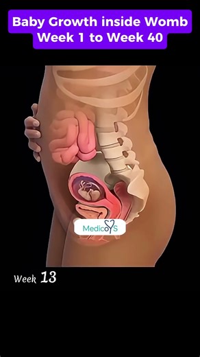 From Cell to Newborn 👶 | 40 Weeks of Human Development in 20 Seconds | MedicoYS