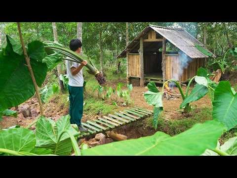 CEO Ditches City for Forest LIFE Changing Primitive Rat Trap Build!