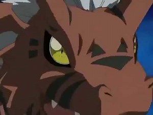 Guilmon Digivolve Para Growlmon