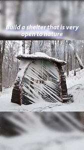 Build a shelter that is very open to nature | Wild Survival
