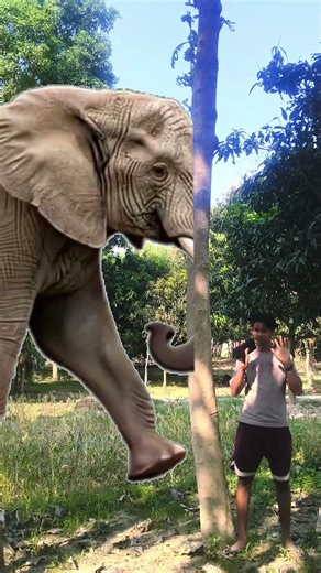 love you india 🇮🇳❤️‍🩹🫂 Teri mitti me mil java ✨❤️‍🩹#trending #trend #ytshorts #shorts #funny #animal