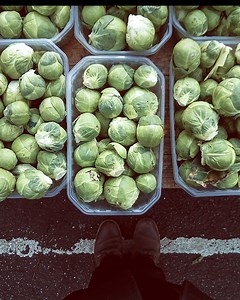 1.7M views · 162 shares | Dominate your day with Siri. #SirioniPhone | Apple | Facebook