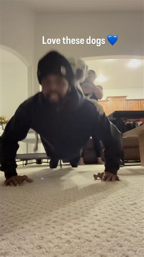 Josh Butler on Instagram: "Smartest dogs ever 😂❤️"