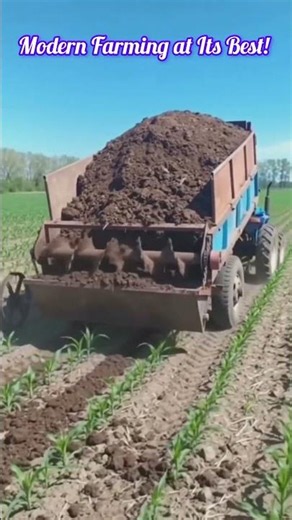 Manure Spreader in Action | Organic Fertilizer Application 🌱 #farming #tractor #agriculture