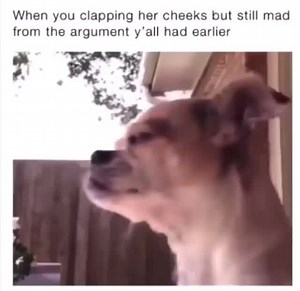 When you clapping her cheeks but still mad from the argument y'all had earlier - iFunny