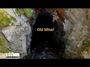 Gold In Old Mines & Prospecting New Gold Showings!