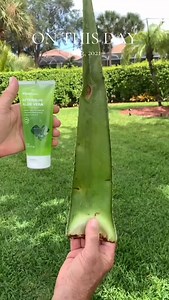 6.5K views · 308 reactions | #summer #pool #sunburn #suntan #sun #florida | Anne Caserta | Facebook