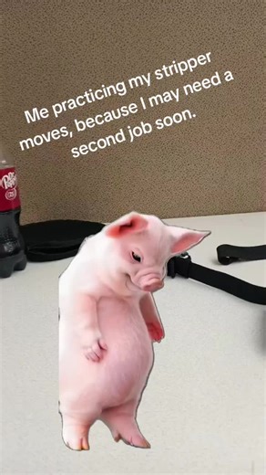 #meme #dance #money #yeah #makemoney