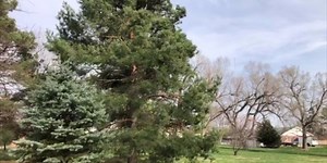 Climate expert outlines why Nebraska is seeing high winds this spring