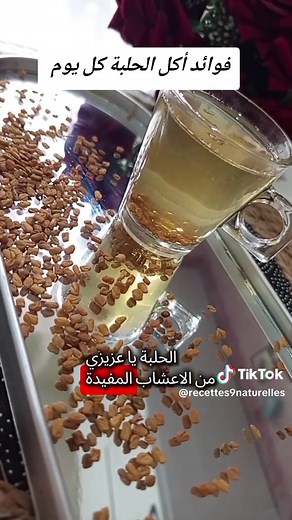 فوائد الحلبه الصحية اليومية