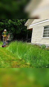 Tall grass lawn restoration 😌 | Fill's Lawn Care