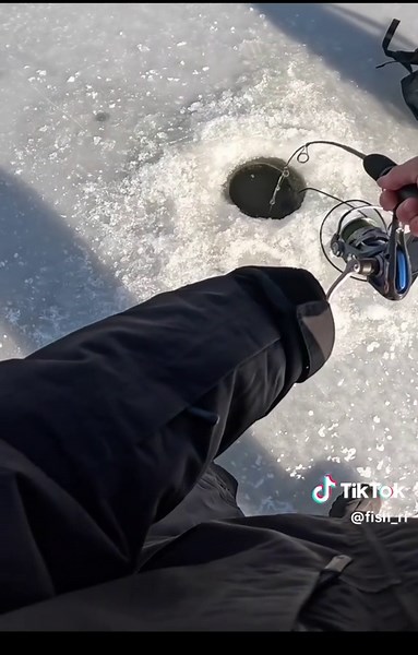Ice Fishing for Striped Bass: A Fun Jigging Adventure