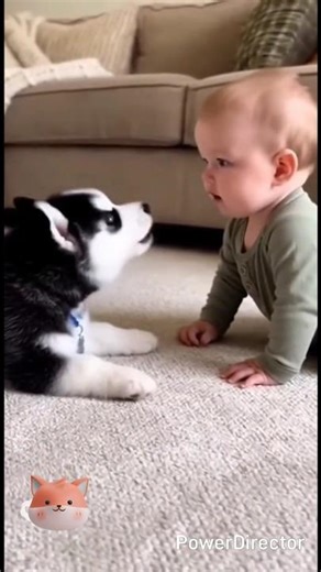 Baby VS Dog !! #baby #dog #funny #animalsounds