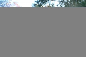 The magic of Harry Potter: ESL/EFL Lesson Plan and Worksheet