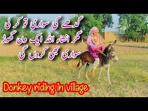 Girl hard donkey riding | Pony riding | Funny donkey riding | Donkey rider lady