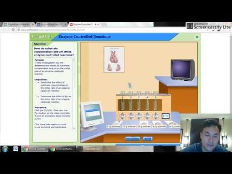 Enzyme Graph - Virtual Lab
