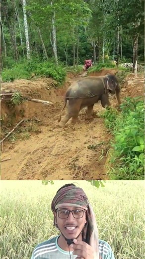 Top Learning Tools for Tech 🔥 Enthusiasts | Smart Gadgets & Creative Learning #shorts #viralshorts🔥🙏