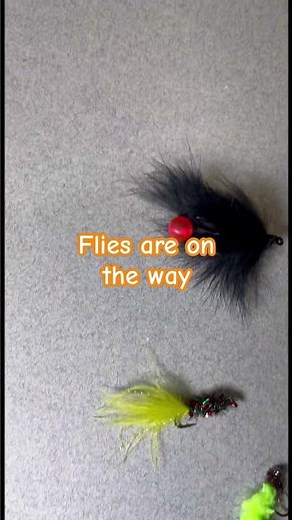 Top 5 Flies You NEED to Learn How to Tie #flytying #flyfishing #troutfishing #fishinglife