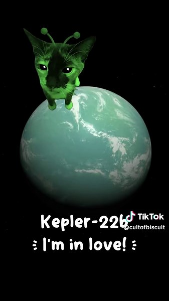 Biscuit's Weekly Cat Routine