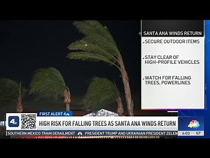 High risk for falling trees as Santa Ana winds return