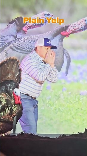 Perfect Turkey Calls! Listen to This NWTF Finalist 🏆🦃