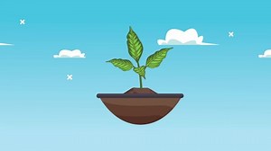 Lets Save World Animation Plant Ground Stock Footage Video (100% Royalty-free) 1061479450 | Shutterstock