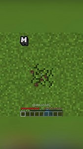 Minecraft: Touching Orange is Illegal Challenge