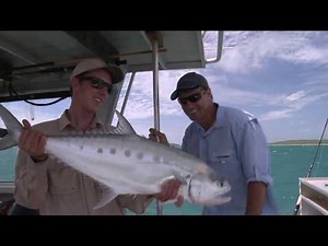 EP 3 - Albany Island | ESCAPE FISHING WITH ET