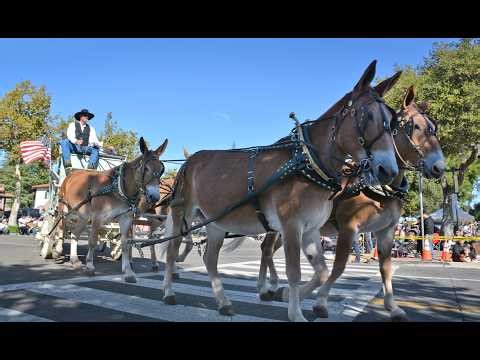 2025 Pioneer Day Parade