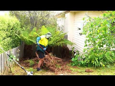 Transforming A MASSIVE Overgrown Yard Disaster (Satisfying Cleanup)!