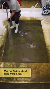 843K views · 8.1K reactions | Rescued From A Bog? This Was Tough But...