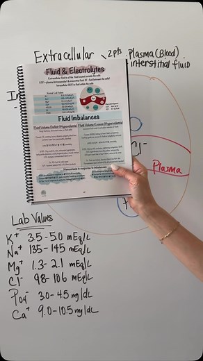 Quick tip on understanding lab values and extracellular and intracellular spaces#nursingschool #nursingnotes #nursingstudent #bsn #rn #futurenurse #nclex #nursing | Professormollie