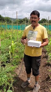 1.1K views · 40 reactions | You can use Brix Refractometer to check how healthy your plant is. If proper nutrition is provided, you can keep your plant Pest Free. #naturalfarming #organicfarming #brixrefractometer #planthealth | AllGanic Farm | Facebook