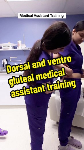 "Dorsal gut wrap" and "ventrogluteal injections" refer to different me... | ventrogluteal im site
