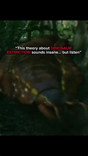 Understanding a Theory of All History