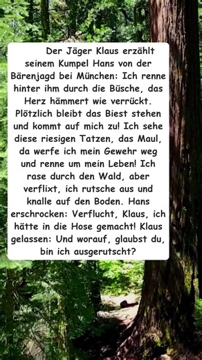 Lustige Geschichte über ein überraschendes Ende einer Bärenjagd