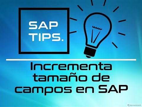 Incrementa el tamaño de textos y campos en SAP