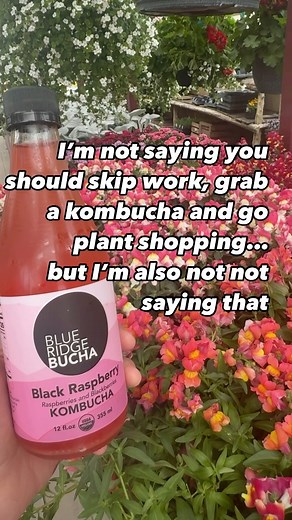 11 reactions | Do you get what we’re saying? Or…. not saying? 﫣 | Massanutten Produce LLC | Facebook