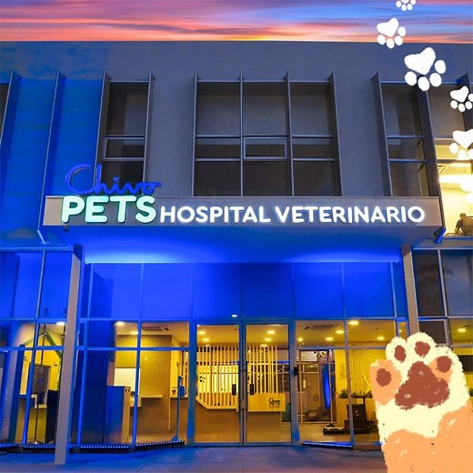 Chivo Pets - Hospital Veterinario Público [Información]