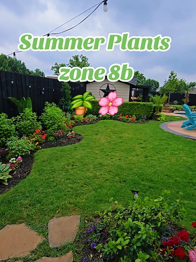Top 6 Sun-Loving Plants for Dallas Garden Zone 8b