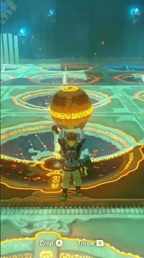 Shee Vaneer shrine PUZZLE SOLUTION! 🧩💯 #shorts #botw #zeldabreathofthewild