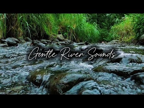 Gentle River Sounds for Sleep & Relaxation | No Music