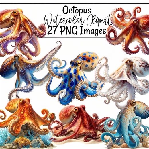 Octopus Watercolor Clipart Sea Life Illustrations Ocean Animal Art Sea Wildlife Mollusk Digital Download Coral Reef Octopus Commercial Use - Etsy