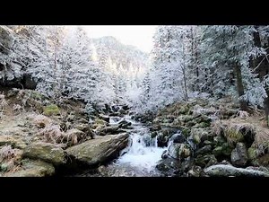 nature video short