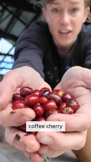 What’s the difference between washed and natural coffee? Full video on my channel