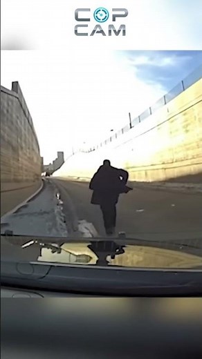 Stolen Car Suspect Pulls Gun on Police 🚔