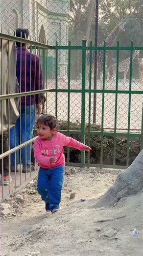 Alipurzoo kolkata zoo #zoo #alipurzoo #kolkata